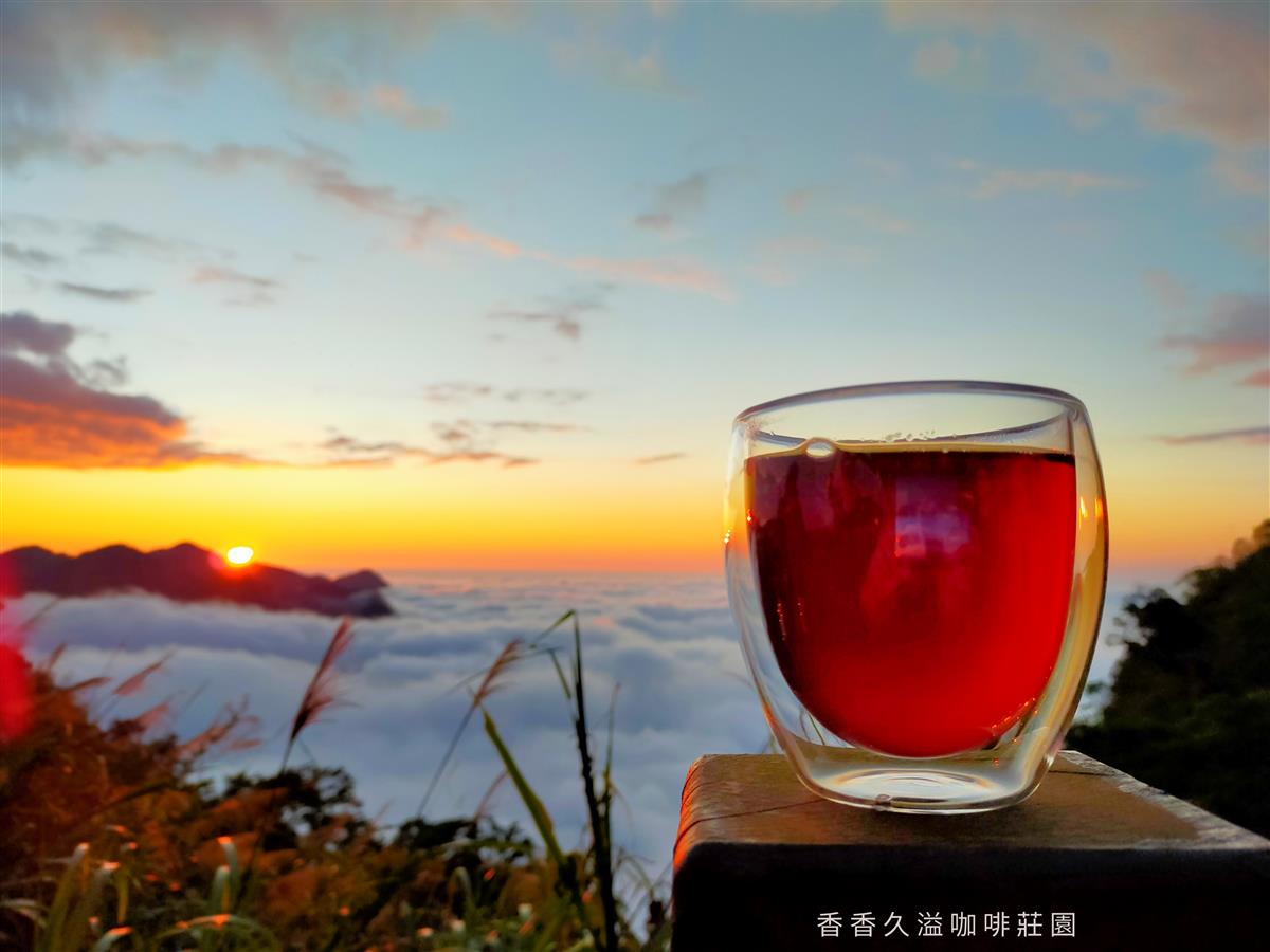 來二延平喝咖啡