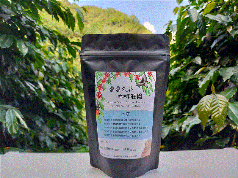 水洗咖啡豆(不酸)1/4磅,香香久溢咖啡莊園