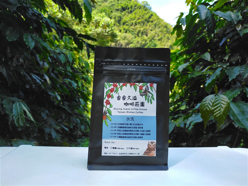 香香久溢水洗咖啡豆【不酸】1/2磅,香香久溢咖啡莊園